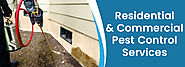 Stay Safe from Pests with Pest Treatment Brisbane Services