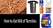 Top Termite Control Brisbane Methods Used By the Experts