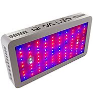 Top 10 Best LED Grow Lights in 2019 Reviews