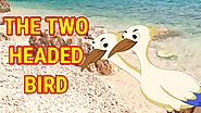 The Two Headed Bird | Panchatantra Moral Stories for Kids | Cartoons In English | Chiku TV English