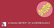 The Survival Strategies of Deinococcus radiodurans