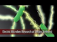 Electric Microbes Research at UMass Amherst