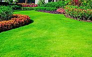 Why You Should Choose A Professional Landscaper For Your Garden?