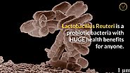 Lactobacillus Reuteri Health Benefits: 6 Power Reasons to Take This Probiotic