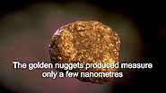 Bacteria that produce gold