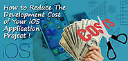 How To Reduce The Development Cost Of Your IOS Application Project