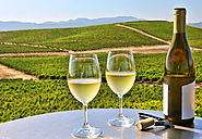 Limo Wine Tours for Napa Valley