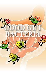 The good bacteria
