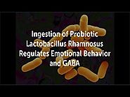 Lactobacillus Rhamnosus (JB-1) Regulates Emotions, Anxiety, Depresion and GABA | Mood, Mental Health