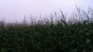 [Sept 10, 2012] @FiremanRich VLog - Morning Fog Always Lifts - YouTube