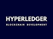 Hyperledger development company