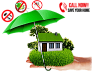 Ozone Pest Control - Pest Control services