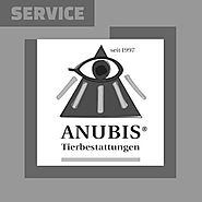 8) 20095 | Anubis