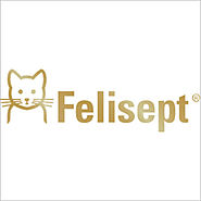 Katze / Felisept