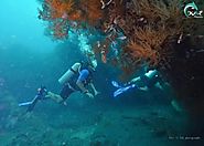 Tips and Things To Know - Scuba Diving Lessons For Beginners | Chuangywomen