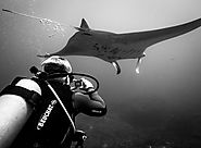 Scuba Diving Lessons For Beginners - Tips Take A Remarkable Underwater Photo - Escortilanistanbul