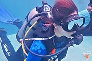 The Bali Scuba Diving Course For Beginner and Professional Divers | Ds-nishiyamato