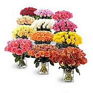 Order Entire Roses from Garden Online Same Day Delivery