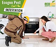 A Few Myths Busted: Things you knew wrong about... - EcoGen Pest Control - Quora