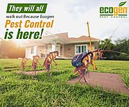 Top five qualities that a reliable pest control... - EcoGen Pest Control