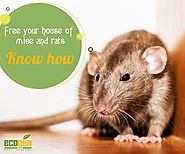 How can you free your house from the menace of mice and rats?