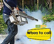 When do you need to call the pest control servi... - EcoGen Pest Control - Quora