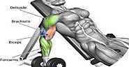 Top Biceps Exercise for Men