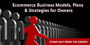 Ecommerce Business Models, Plans & Strategies for Owners