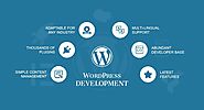 What is WordPress Development & How it Work? - Freelance To India