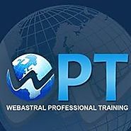 WebAstral Professional TrainingsWeb Designer in Mohali, India