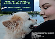Importance of an Emotional Support Animal in your Life