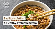 Bacillus subtilis: A Healthy Probiotic Strain