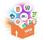 DHARIZ: Web Development Company in Chennai | Website Development Services