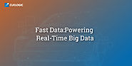 Fast Data:Powering Real-Time Big Data