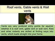 Rodent Control and Removal Methods
