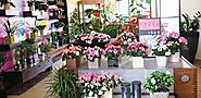 Top store to buy anniversary flowers in Dubai
