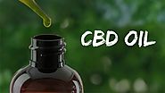 The Argument About CBD Oil, CBD Extract – CBD Products
