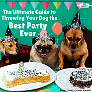 Dog party ideas- How To Throw A Party For Your Dog- From The dog bakery – The Dog Bakery