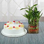Pineapple Cake N Lucky Bamboo Gifts