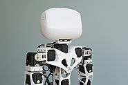 Global Humanoid Robots Market (2018-2025)-GMI Research