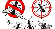 Know How To Control Pests in Your Surrounding｜Getpestcontrol｜note