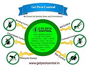 What Is A Reasonable Cost For Outdoor Pest Control?