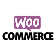Best Company for the WooCommerce Development