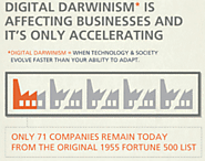 Drug Rehab SEO Understanding Digital Darwinism
