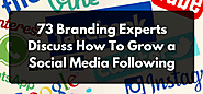 73 Branding Experts Discuss How To Grow a Social Media Following