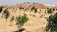 Planting Trees in the Desert, Breathable Anti-seepage Sand, Water Saving