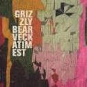 All We Ask by Grizzly Bear