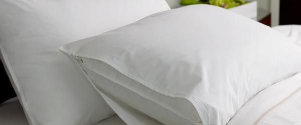 Headline for Top 10 Best Hypoallergenic Bed Pillows 2017-2018