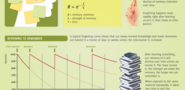Memory Retention and the Forgetting Curve Infographic - e-Learning Infographics