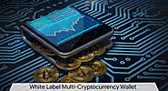 Multi Cryptocurrency Wallet | White Label MultiCurrency Wallet Platform - Blockchain Firm